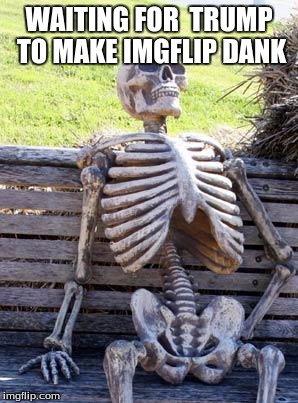 Waiting Skeleton Meme | WAITING FOR  TRUMP TO MAKE IMGFLIP DANK | image tagged in memes,waiting skeleton | made w/ Imgflip meme maker