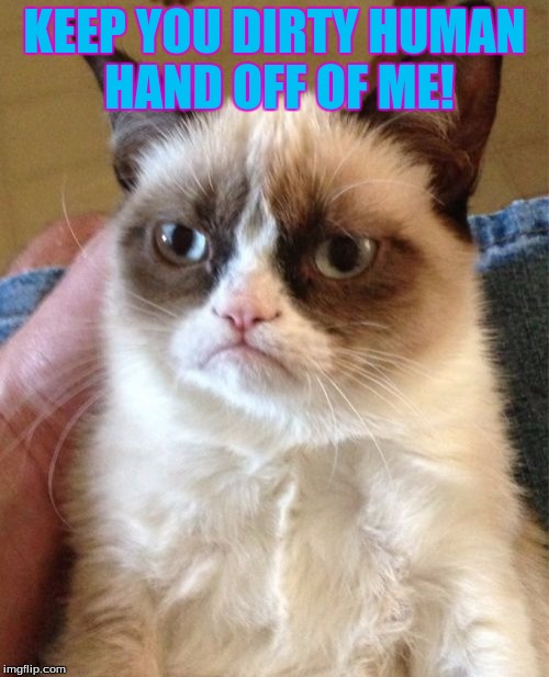 Inside the cats mind | KEEP YOU DIRTY HUMAN HAND OFF OF ME! | image tagged in memes,grumpy cat | made w/ Imgflip meme maker