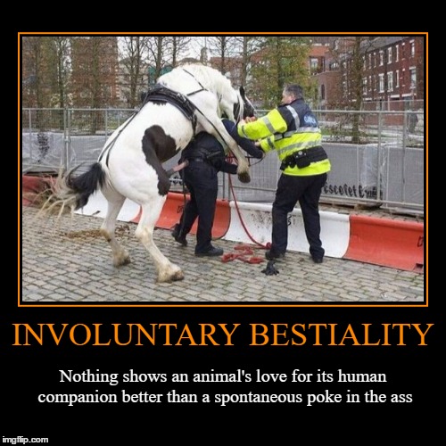 Involuntary Bestiality | image tagged in funny,demotivationals,wmp,horse | made w/ Imgflip demotivational maker