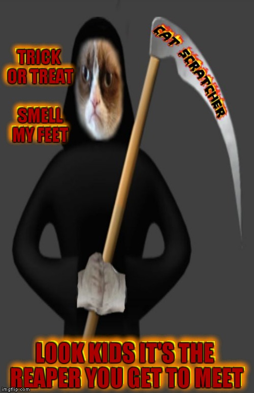 And they say black cats are scary.... | TRICK OR TREAT SMELL MY FEET; TRICK OR TREAT SMELL MY FEET; LOOK KIDS IT'S THE REAPER YOU GET TO MEET; LOOK KIDS IT'S THE REAPER YOU GET TO MEET | image tagged in grumpy death | made w/ Imgflip meme maker
