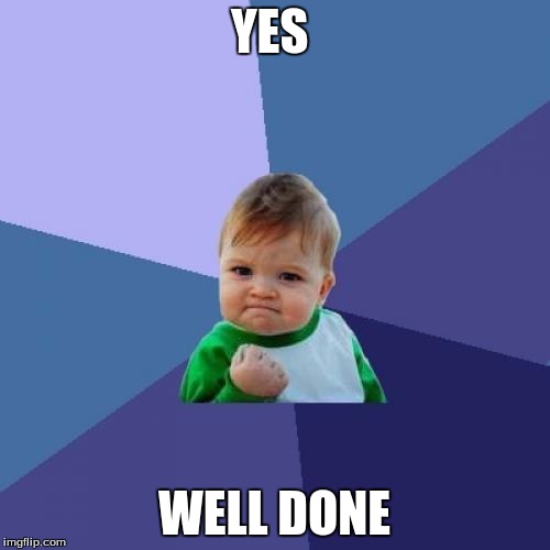 Success Kid Meme | YES WELL DONE | image tagged in memes,success kid | made w/ Imgflip meme maker