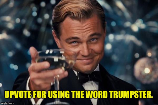 Leonardo Dicaprio Cheers Meme | UPVOTE FOR USING THE WORD TRUMPSTER. | image tagged in memes,leonardo dicaprio cheers | made w/ Imgflip meme maker