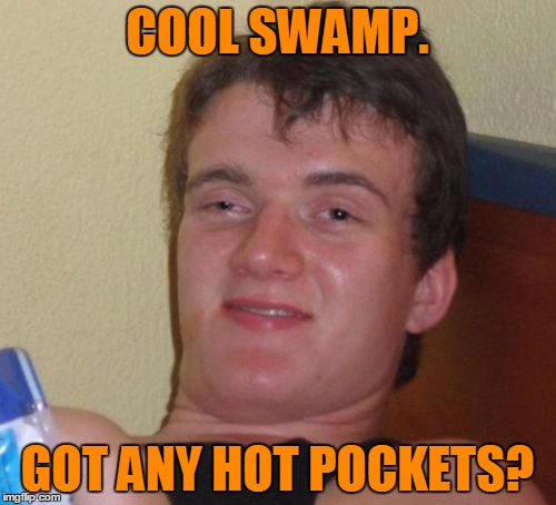 10 Guy Meme | COOL SWAMP. GOT ANY HOT POCKETS? | image tagged in memes,10 guy | made w/ Imgflip meme maker