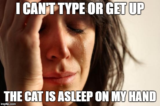 First World Problems | I CAN'T TYPE OR GET UP; THE CAT IS ASLEEP ON MY HAND | image tagged in memes,first world problems | made w/ Imgflip meme maker