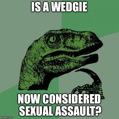 Philosoraptor Meme | IS A WEDGIE; NOW CONSIDERED SEXUAL ASSAULT? | image tagged in memes,philosoraptor | made w/ Imgflip meme maker