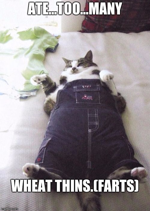 Fat Cat | ATE...TOO...MANY; WHEAT THINS.(FARTS) | image tagged in memes,fat cat | made w/ Imgflip meme maker