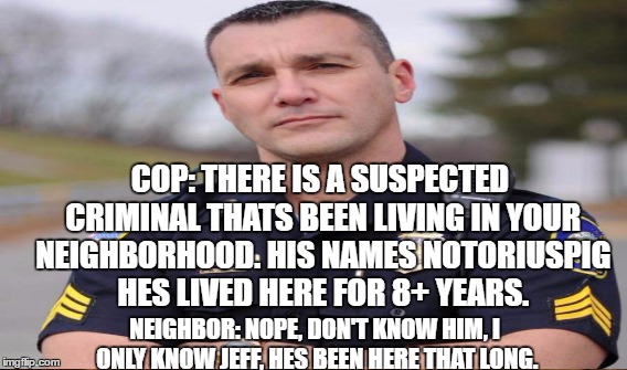 COP: THERE IS A SUSPECTED CRIMINAL THATS BEEN LIVING IN YOUR NEIGHBORHOOD. HIS NAMES NOTORIUSPIG HES LIVED HERE FOR 8+ YEARS. NEIGHBOR: NOPE | made w/ Imgflip meme maker