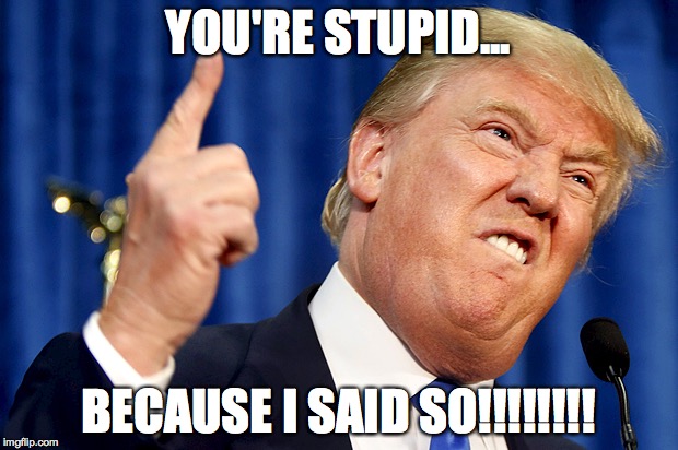 Donald Trump | YOU'RE STUPID... BECAUSE I SAID SO!!!!!!!! | image tagged in donald trump,memes,funny memes,election 2016,donald trump memes,trump 2016 | made w/ Imgflip meme maker