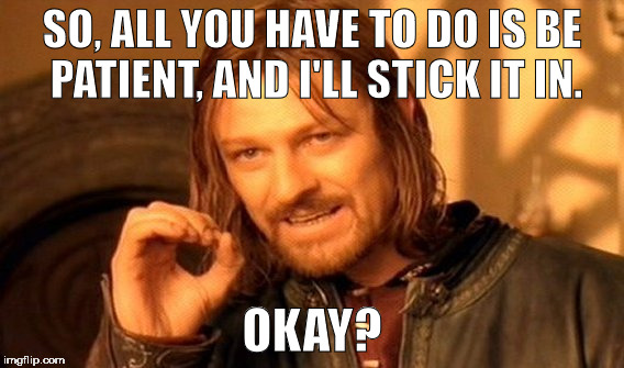 One Does Not Simply Meme | SO, ALL YOU HAVE TO DO IS BE PATIENT, AND I'LL STICK IT IN. OKAY? | image tagged in memes,one does not simply | made w/ Imgflip meme maker