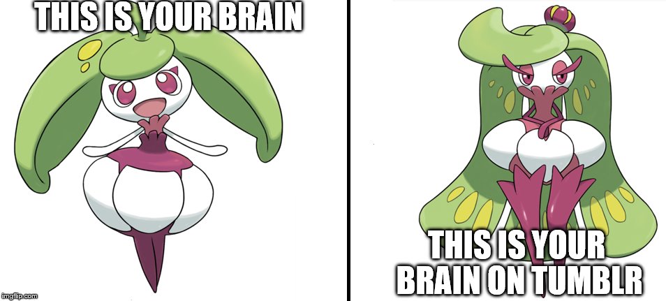 This is your brain on Tumblr | THIS IS YOUR BRAIN; THIS IS YOUR BRAIN ON TUMBLR | image tagged in pokemon | made w/ Imgflip meme maker