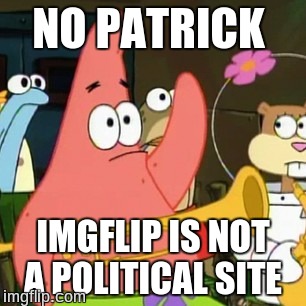 No Patrick | NO PATRICK; IMGFLIP IS NOT A POLITICAL SITE | image tagged in memes,no patrick | made w/ Imgflip meme maker