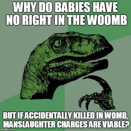 Philosoraptor | WHY DO BABIES HAVE NO RIGHT IN THE WOOMB; BUT IF ACCIDENTALLY KILLED IN WOMB, MANSLAUGHTER CHARGES ARE VIABLE? | image tagged in memes,philosoraptor | made w/ Imgflip meme maker