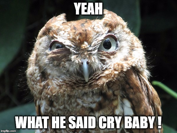 YEAH WHAT HE SAID CRY BABY ! | made w/ Imgflip meme maker