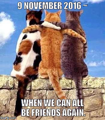 Cat friends | 9 NOVEMBER 2016 ~; WHEN WE CAN ALL BE FRIENDS AGAIN. | image tagged in cat friends | made w/ Imgflip meme maker