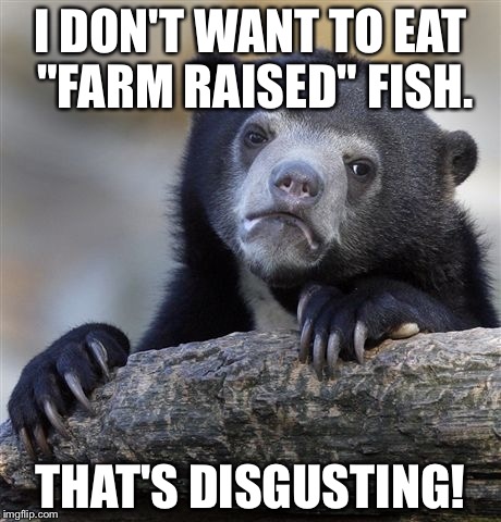 Confession Bear | I DON'T WANT TO EAT "FARM RAISED" FISH. THAT'S DISGUSTING! | image tagged in memes,confession bear | made w/ Imgflip meme maker