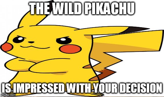 THE WILD PIKACHU IS IMPRESSED WITH YOUR DECISION | made w/ Imgflip meme maker