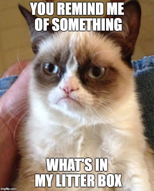 Grumpy Cat | YOU REMIND ME OF SOMETHING; WHAT'S IN MY LITTER BOX | image tagged in memes,grumpy cat | made w/ Imgflip meme maker