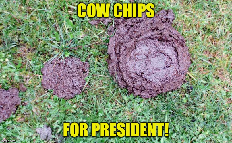 COW CHIPS FOR PRESIDENT! | made w/ Imgflip meme maker