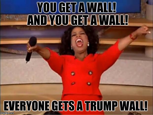 Oprah You Get A | YOU GET A WALL! AND YOU GET A WALL! EVERYONE GETS A TRUMP WALL! | image tagged in memes,oprah you get a | made w/ Imgflip meme maker
