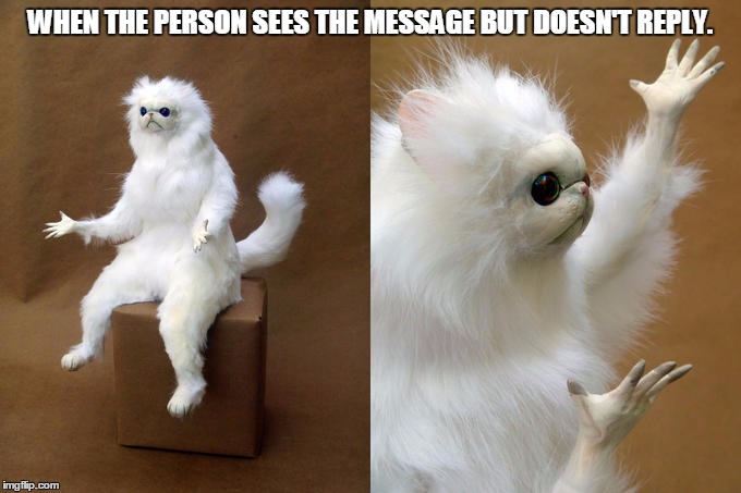 Persian Cat Room Guardian | WHEN THE PERSON SEES THE MESSAGE BUT DOESN'T REPLY. | image tagged in memes,persian cat room guardian | made w/ Imgflip meme maker