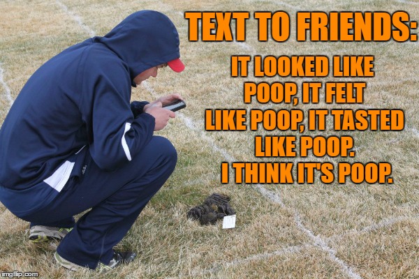 TEXT TO FRIENDS: IT LOOKED LIKE POOP, IT FELT LIKE POOP, IT TASTED LIKE POOP.  I THINK IT'S POOP. | made w/ Imgflip meme maker