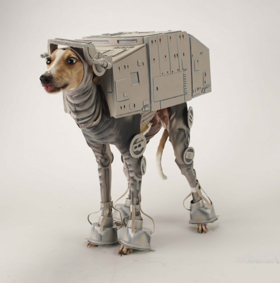 Star Wars Greyhound Blank Meme Template