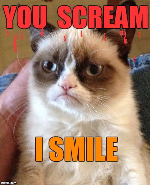 Grumpy Cat Meme | YOU  SCREAM I SMILE | image tagged in memes,grumpy cat | made w/ Imgflip meme maker
