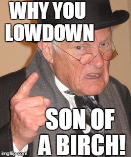 Back In My Day Meme | WHY YOU LOWDOWN SON OF A BIRCH! | image tagged in memes,back in my day | made w/ Imgflip meme maker
