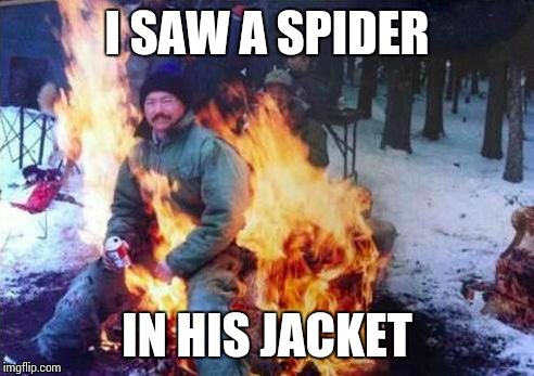 LIGAF | I SAW A SPIDER; IN HIS JACKET | image tagged in memes,ligaf | made w/ Imgflip meme maker