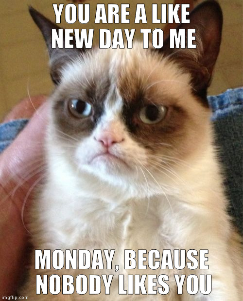 Grumpy Cat Meme | YOU ARE A LIKE NEW DAY TO ME; MONDAY, BECAUSE NOBODY LIKES YOU | image tagged in memes,grumpy cat,funny,monday | made w/ Imgflip meme maker