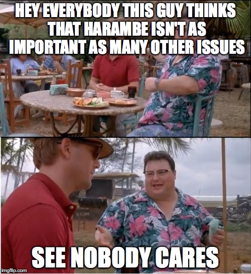 See Nobody Cares Meme | HEY EVERYBODY THIS GUY THINKS THAT HARAMBE ISN'T AS IMPORTANT AS MANY OTHER ISSUES; SEE NOBODY CARES | image tagged in memes,see nobody cares | made w/ Imgflip meme maker