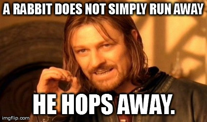 One Does Not Simply Meme | A RABBIT DOES NOT SIMPLY RUN AWAY HE HOPS AWAY. | image tagged in memes,one does not simply | made w/ Imgflip meme maker