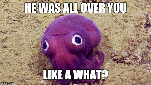Like an Octopus |  HE WAS ALL OVER YOU; LIKE A WHAT? | image tagged in you gottta be squidding me | made w/ Imgflip meme maker
