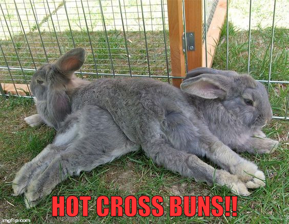 Hot Cross | HOT CROSS BUNS!! | image tagged in memes | made w/ Imgflip meme maker