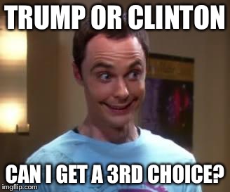 Sheldon Cooper smile | TRUMP OR CLINTON; CAN I GET A 3RD CHOICE? | image tagged in sheldon cooper smile | made w/ Imgflip meme maker