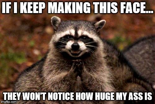 Evil Plotting Raccoon Meme | IF I KEEP MAKING THIS FACE... THEY WON'T NOTICE HOW HUGE MY ASS IS | image tagged in memes,evil plotting raccoon | made w/ Imgflip meme maker