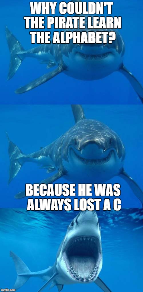 Bad Shark Pun  | WHY COULDN'T THE PIRATE LEARN THE ALPHABET? BECAUSE HE WAS ALWAYS LOST A C | image tagged in bad shark pun | made w/ Imgflip meme maker