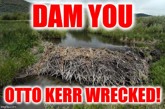Wood ewe due this? | DAM YOU; OTTO KERR WRECKED! | image tagged in dam,auto correct | made w/ Imgflip meme maker