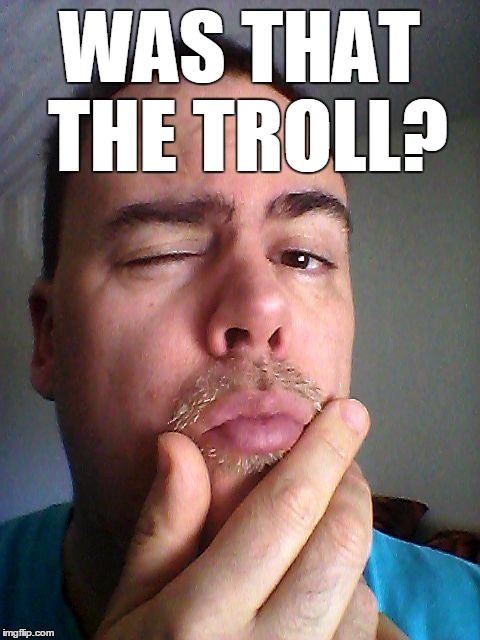 WAS THAT THE TROLL? | made w/ Imgflip meme maker