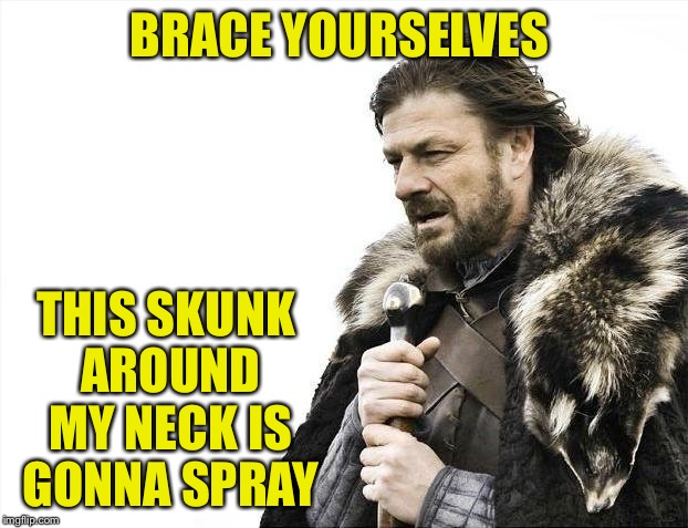 Brace Yourselves X is Coming | BRACE YOURSELVES; THIS SKUNK AROUND MY NECK IS GONNA SPRAY | image tagged in memes,brace yourselves x is coming | made w/ Imgflip meme maker
