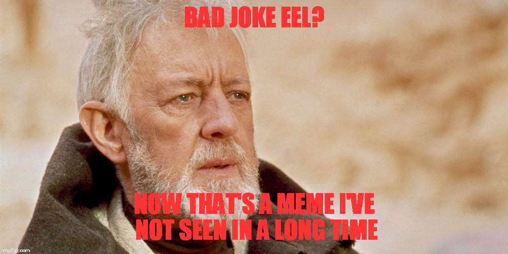 Long time Obi-Wan | BAD JOKE EEL? NOW THAT'S A MEME I'VE NOT SEEN IN A LONG TIME | image tagged in memes,star wars,bad joke eel | made w/ Imgflip meme maker