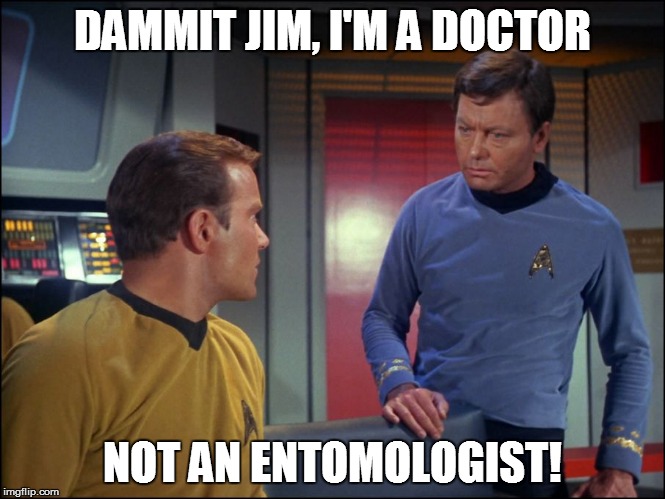DAMMIT JIM, I'M A DOCTOR NOT AN ENTOMOLOGIST! | made w/ Imgflip meme maker