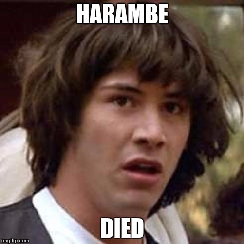 Conspiracy Keanu | HARAMBE; DIED | image tagged in memes,conspiracy keanu | made w/ Imgflip meme maker