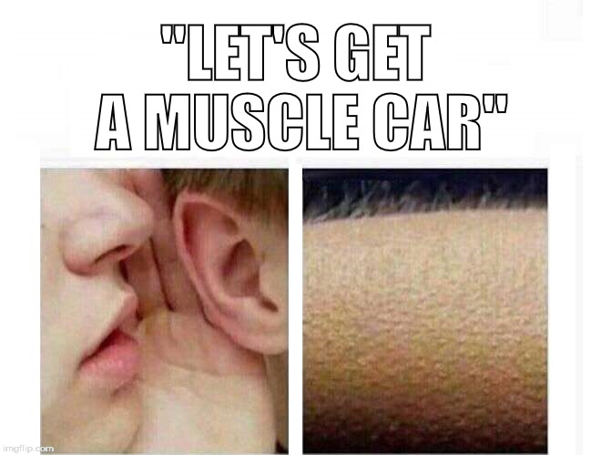 "LET'S GET A MUSCLE CAR" | image tagged in sweet talk | made w/ Imgflip meme maker