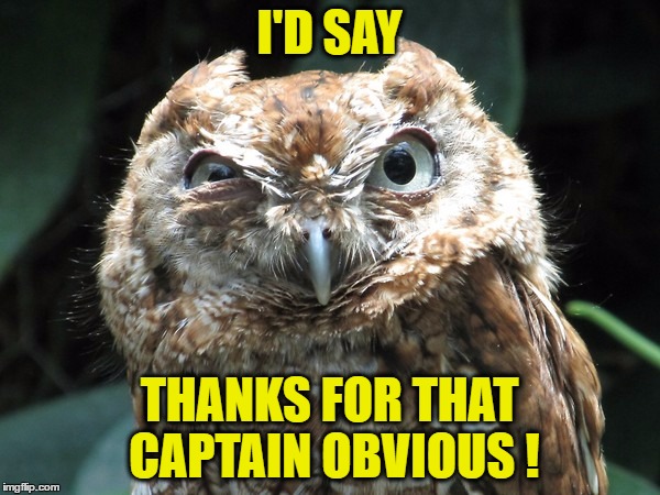 I'D SAY THANKS FOR THAT CAPTAIN OBVIOUS ! | made w/ Imgflip meme maker