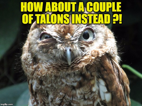 HOW ABOUT A COUPLE OF TALONS INSTEAD ?! | made w/ Imgflip meme maker