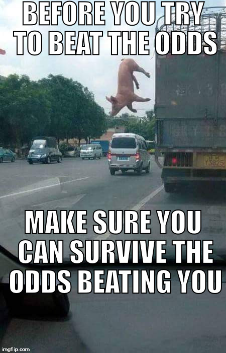  BEFORE YOU TRY TO BEAT THE ODDS; MAKE SURE YOU CAN SURVIVE THE ODDS BEATING YOU | image tagged in falling pig | made w/ Imgflip meme maker