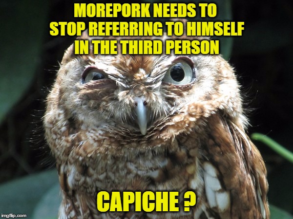 MOREPORK NEEDS TO STOP REFERRING TO HIMSELF IN THE THIRD PERSON CAPICHE ? | made w/ Imgflip meme maker