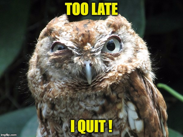 TOO LATE I QUIT ! | made w/ Imgflip meme maker
