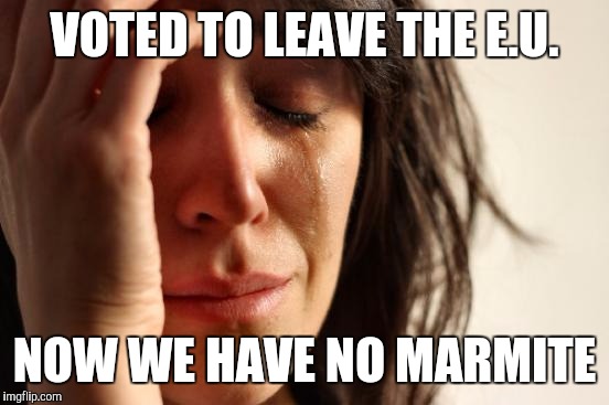 First World Problems | VOTED TO LEAVE THE E.U. NOW WE HAVE NO MARMITE | image tagged in memes,first world problems | made w/ Imgflip meme maker